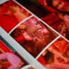 Celebration Albums - Image 19