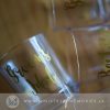Decal Wine Glasses - Image 7